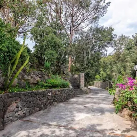 Forio Casa Villa, La Grille Du Coq 1 Il Prezzo Della E Riferito All'intero Con Il Limite Delle Persone Previste N 4 ايسكيا