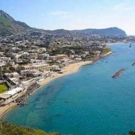 Forio Casa Villa, La Grille Du Coq 1 Il Prezzo Della E Riferito All'intero Con Il Limite Delle Persone Previste N 4 Isquia