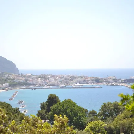 Ischia Forio Casa Villa, La Grille Du Coq 1 Il Prezzo Della E Riferito All'intero Con Il Limite Delle Persone Previste N 4 בית נופש