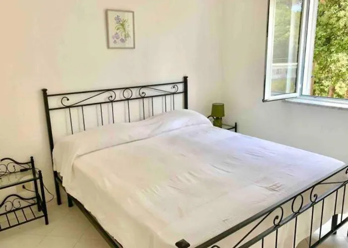 Ischia-forio-punta Caruso-la Grille Du Coq-villa 1 Il Prezzo Della E Riferito All'intero Con Il Limite Delle Persone Previste N 4 Holiday home