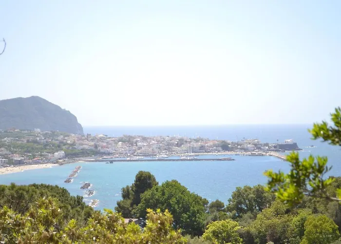 Ischia-forio-punta Caruso-la Grille Du Coq-villa 1 Il Prezzo Della E Riferito All'intero Con Il Limite Delle Persone Previste N 4 Holiday home