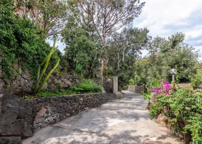 Ischia-forio-punta Caruso-la Grille Du Coq-villa 1 Il Prezzo Della E Riferito All'intero Con Il Limite Delle Persone Previste N 4 Lacco Ameno (Isola d'Ischia)